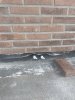 IMG_0086.jpeg