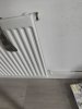 IMG20240731134606.jpg