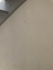 IMG_7765.jpeg