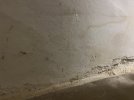 IMG_6402.jpeg