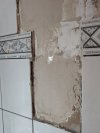 PXL_20240812_173426659.MP.jpg