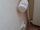 20240814_151038.jpg