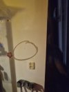 20240830_101004.jpg
