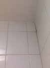 20240904_221253.jpg 20240904_221253.jpg