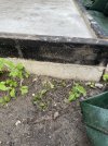 IMG_1904.jpeg