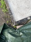 IMG_1903.jpeg