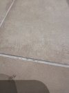 IMG_1756.jpeg