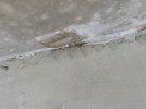IMG_9350.JPEG