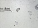 20240912_110214.jpg 20240912_110214.jpg