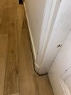 IMG_5296.jpeg