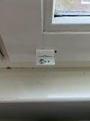 IMG_4447.jpeg