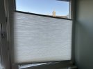 IMG_4448.jpeg