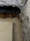 IMG_3309.jpeg