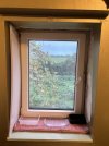IMG_3322.jpeg
