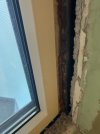 IMG_3324.jpeg
