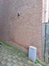20240516_083852 (Groot).jpg