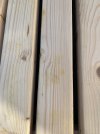 IMG_5964.jpeg