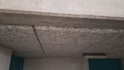IMG-20241005-WA0000.jpeg