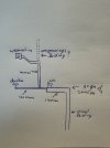 IMG_5406.jpeg