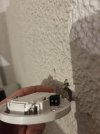 IMG_4530.jpeg