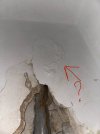 IMG_0520.jpeg