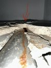 IMG_0519.jpeg