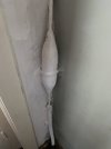 IMG_6366.jpeg