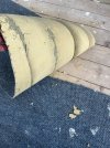 IMG_9884.jpeg