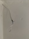 IMG_6198.jpeg