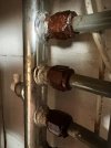 IMG_7710.jpeg
