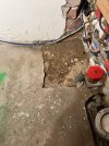 IMG_7715.jpeg
