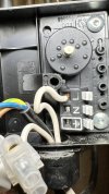 IMG_7504.jpeg