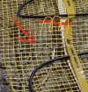 IMG_1185.jpeg
