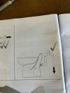 IMG_6884.jpeg