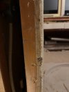 IMG_6410.jpeg