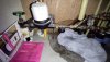 IMG_20201128_144219.jpg