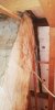 IMG-20201129-WA0005.jpeg