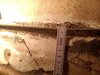 IMG_20201205_123905.jpg