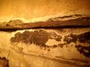IMG_20201205_123948.jpg