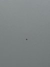IMG-20241208-WA0000.jpg