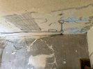 IMG_7863.jpeg