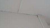 img_1709992469567.jpg
