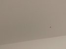 IMG_20241224_130047.jpg
