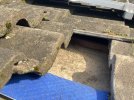 IMG_7491.jpeg
