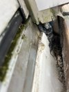 IMG_2326.jpeg