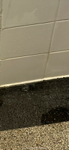 IMG_3291.png IMG_3291.png