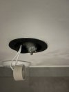 IMG_4081.jpeg