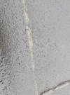 20241226_112704.jpg
