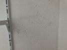IMG_7580_2.jpg