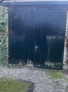 IMG_2216.jpeg